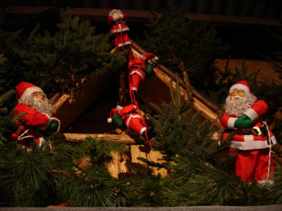 Weihnachtsbäume Uhlandhof in Hattenhofen Kreis Göppingen